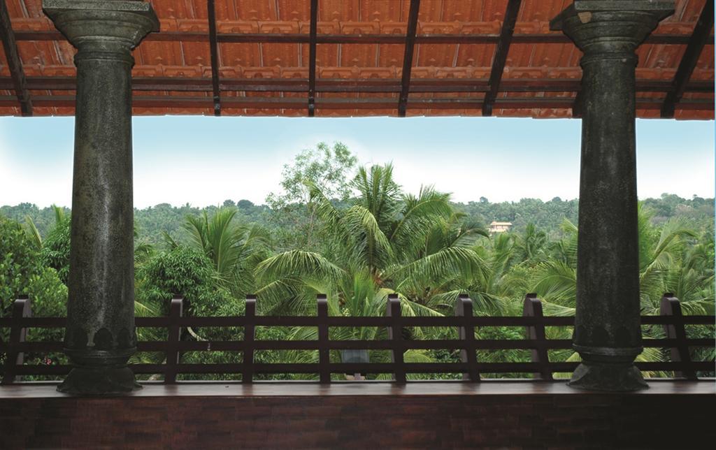 Amrutham Ayurvedic Village Resort Kovalam Rom bilde